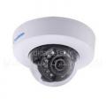 دوربین تحت شبکه GV-EFD2100